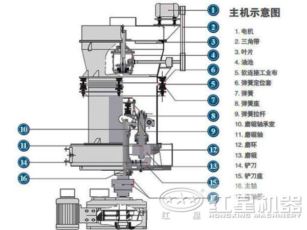 樱花草影院在线视频WWW中文内部结构